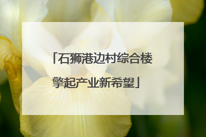 石狮港边村综合楼擎起产业新希望
