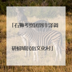 石狮考察团到丰泽调研蟳埔民俗文化村