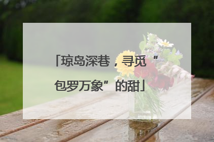 琼岛深巷，寻觅“包罗万象”的甜