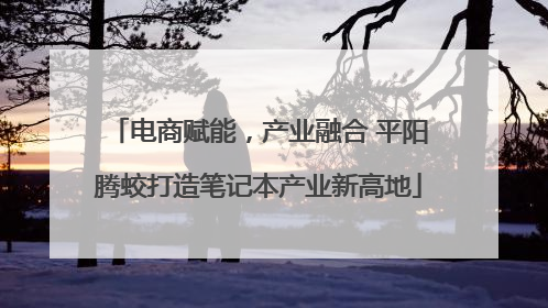 电商赋能，产业融合 平阳腾蛟打造笔记本产业新高地