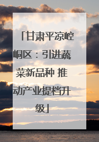 甘肃平凉崆峒区：引进蔬菜新品种 推动产业提档升级
