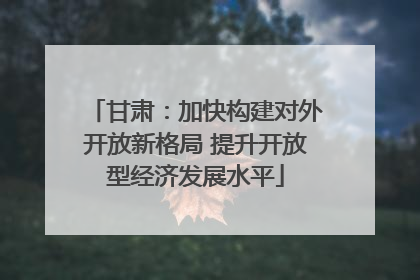 甘肃：加快构建对外开放新格局 提升开放型经济发展水平