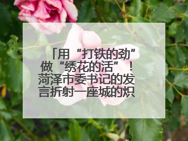 用“打铁的劲”做“绣花的活”！菏泽市委书记的发言折射一座城的炽热情怀