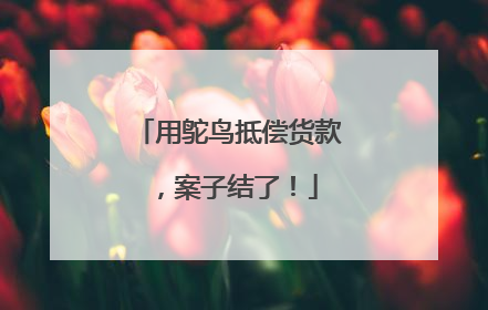 用鸵鸟抵偿货款，案子结了！