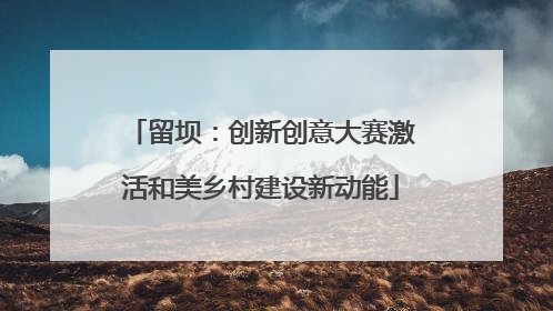 留坝：创新创意大赛激活和美乡村建设新动能