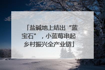 盐碱地上结出“蓝宝石”，小蓝莓串起乡村振兴全产业链