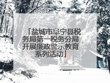 盐城市阜宁县税务局第一税务分局开展廉政警示教育系列活动