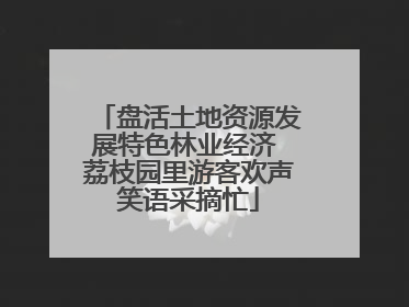 盘活土地资源发展特色林业经济 荔枝园里游客欢声笑语采摘忙