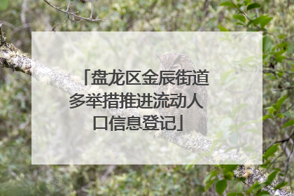 盘龙区金辰街道多举措推进流动人口信息登记