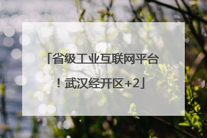 省级工业互联网平台！武汉经开区+2