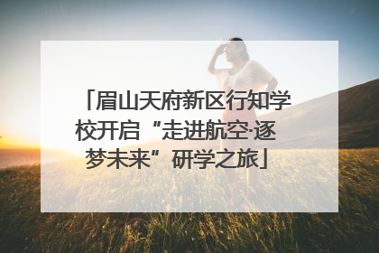 眉山天府新区行知学校开启“走进航空·逐梦未来”研学之旅