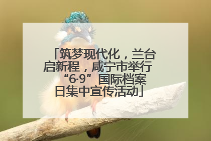 筑梦现代化，兰台启新程，咸宁市举行“6·9”国际档案日集中宣传活动
