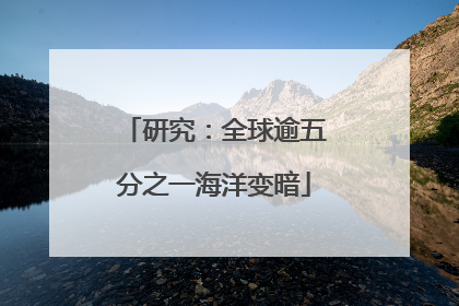 研究：全球逾五分之一海洋变暗