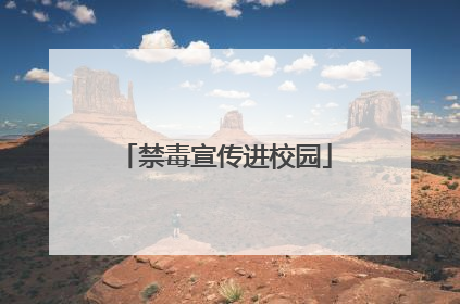 禁毒宣传进校园