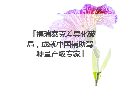 福瑞泰克差异化破局，成就中国辅助驾驶量产级专家