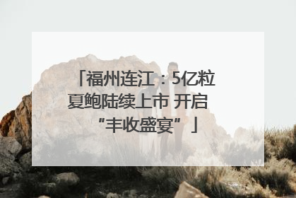 福州连江：5亿粒夏鲍陆续上市 开启“丰收盛宴”