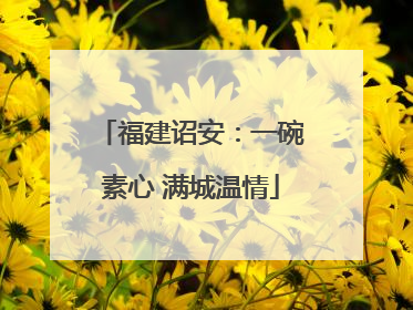 福建诏安：一碗素心 满城温情