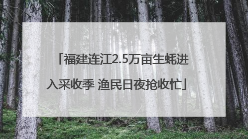 福建连江2.5万亩生蚝进入采收季 渔民日夜抢收忙