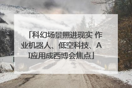 科幻场景照进现实 作业机器人、低空科技、AI应用成西博会焦点