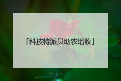 科技特派员助农增收