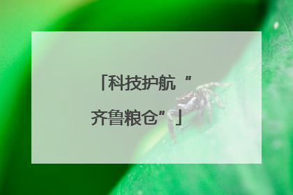 科技护航“齐鲁粮仓”