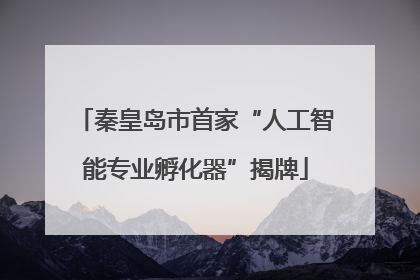 秦皇岛市首家“人工智能专业孵化器”揭牌