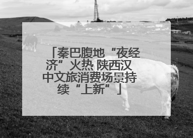 秦巴腹地“夜经济”火热 陕西汉中文旅消费场景持续“上新”