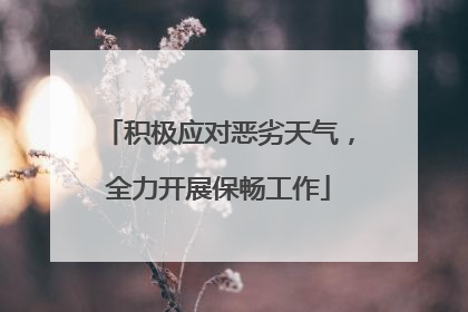 积极应对恶劣天气，全力开展保畅工作