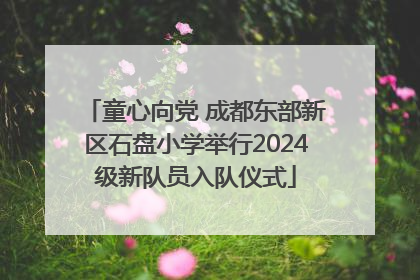 童心向党 成都东部新区石盘小学举行2024级新队员入队仪式