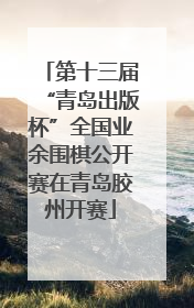 第十三届“青岛出版杯”全国业余围棋公开赛在青岛胶州开赛