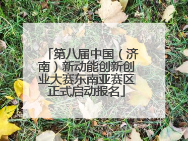 第八届中国（济南）新动能创新创业大赛东南亚赛区正式启动报名