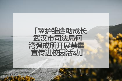 翼护雏鹰助成长 武汉市司法局何湾强戒所开展禁毒宣传进校园活动