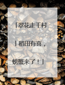 翠花走千村丨稻田有喜，螃蟹来了！