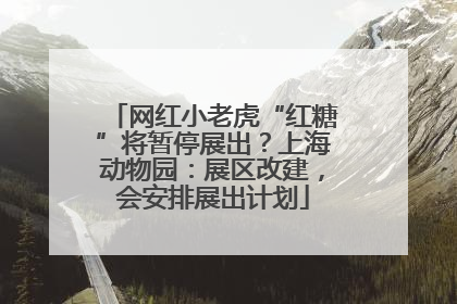 网红小老虎“红糖”将暂停展出？上海动物园：展区改建，会安排展出计划