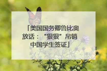 美国国务卿鲁比奥放话：“狠狠”吊销中国学生签证