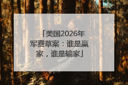 美国2026年军费草案：谁是赢家，谁是输家