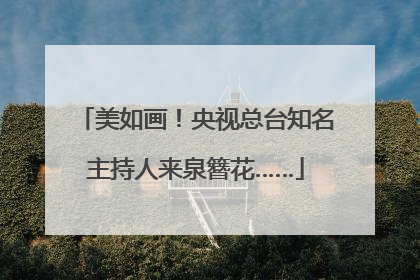 美如画！央视总台知名主持人来泉簪花……