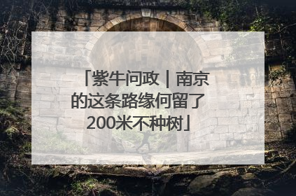 紫牛问政｜南京的这条路缘何留了200米不种树