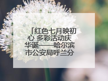 红色七月映初心 多彩活动庆华诞——哈尔滨市公安局呼兰分局开展系列活动献礼党的生日