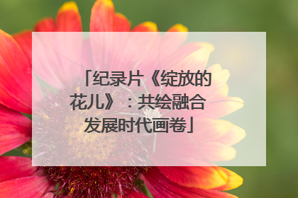 纪录片《绽放的花儿》：共绘融合发展时代画卷