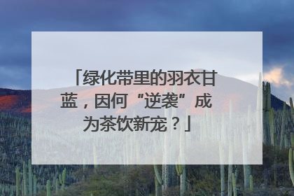绿化带里的羽衣甘蓝，因何“逆袭”成为茶饮新宠？