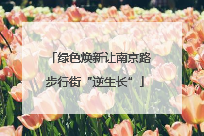 绿色焕新让南京路步行街“逆生长”