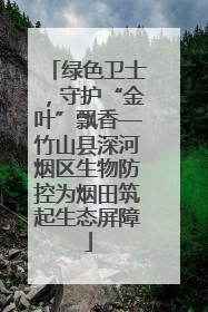 绿色卫士，守护“金叶”飘香—竹山县深河烟区生物防控为烟田筑起生态屏障