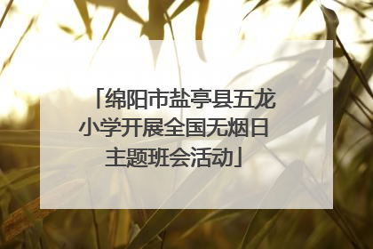 绵阳市盐亭县五龙小学开展全国无烟日主题班会活动