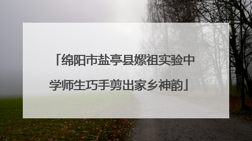 绵阳市盐亭县嫘祖实验中学师生巧手剪出家乡神韵