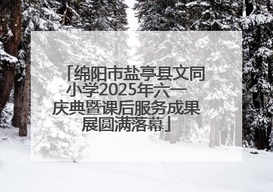 绵阳市盐亭县文同小学2025年六一庆典暨课后服务成果展圆满落幕