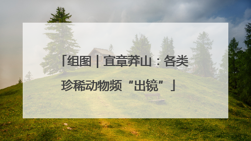 组图｜宜章莽山：各类珍稀动物频“出镜”