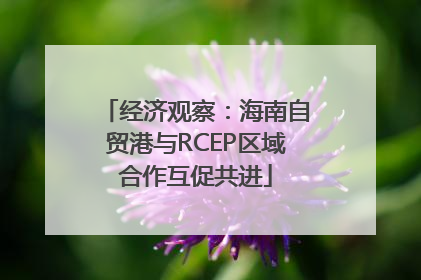 经济观察：海南自贸港与RCEP区域合作互促共进
