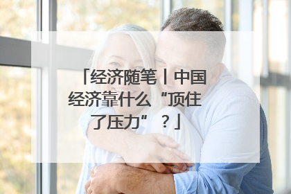 经济随笔丨中国经济靠什么“顶住了压力”？