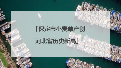 保定市小麦单产创河北省历史新高